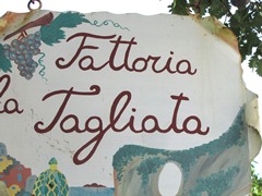 Trattoria La Tagliata