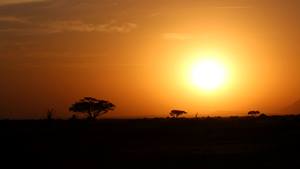 Amboseli Sunset